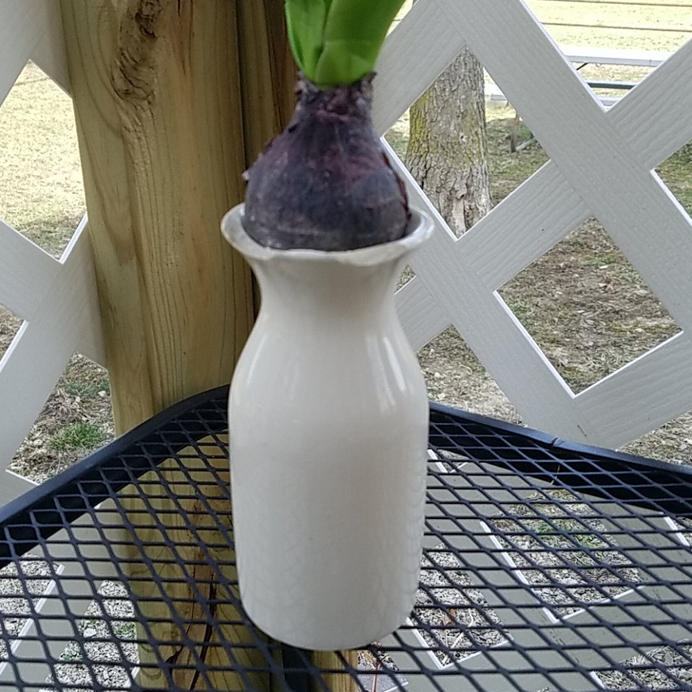 Spring Flower's & Vase - Picture 3 of 6